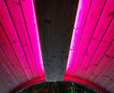 SaunaLife Emood Color Lighting for ERGO Sauna