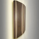 SaunaLife Sconce+ Indoor-Outdoor Sauna Light Set